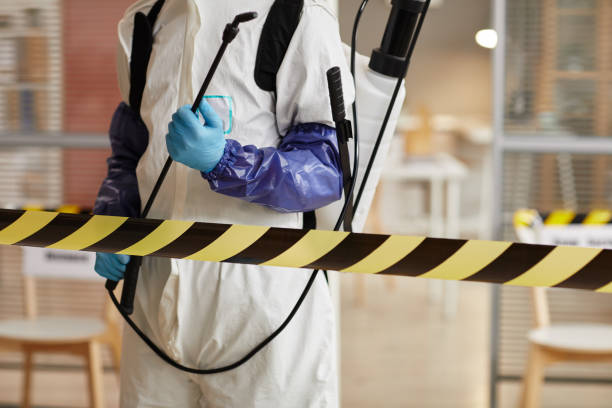 Professional Blood Cleanup technician working in Pierce, CO
